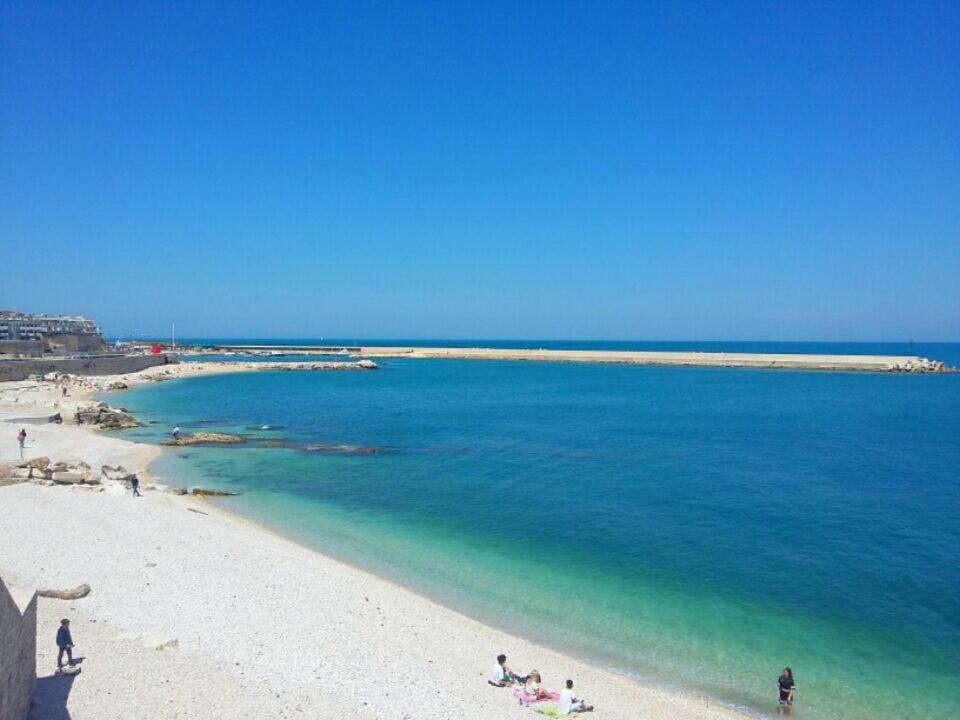 Casa Vacanze La Scalinata Bisceglie Ngoại thất bức ảnh